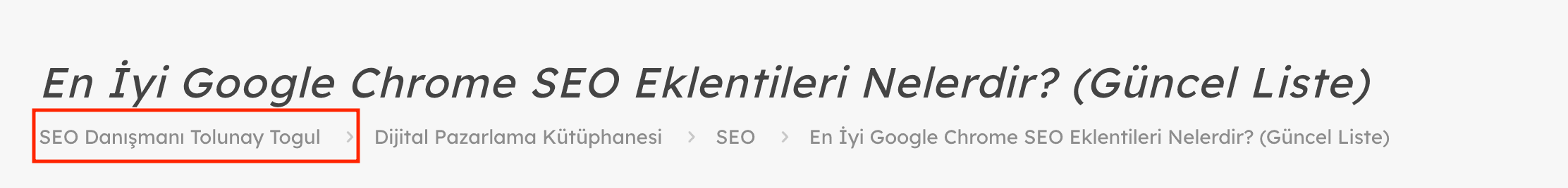 Google Knowledge Panel Kazanma Hikayem: SEO’da Kişisel Markalaşma Sanatı