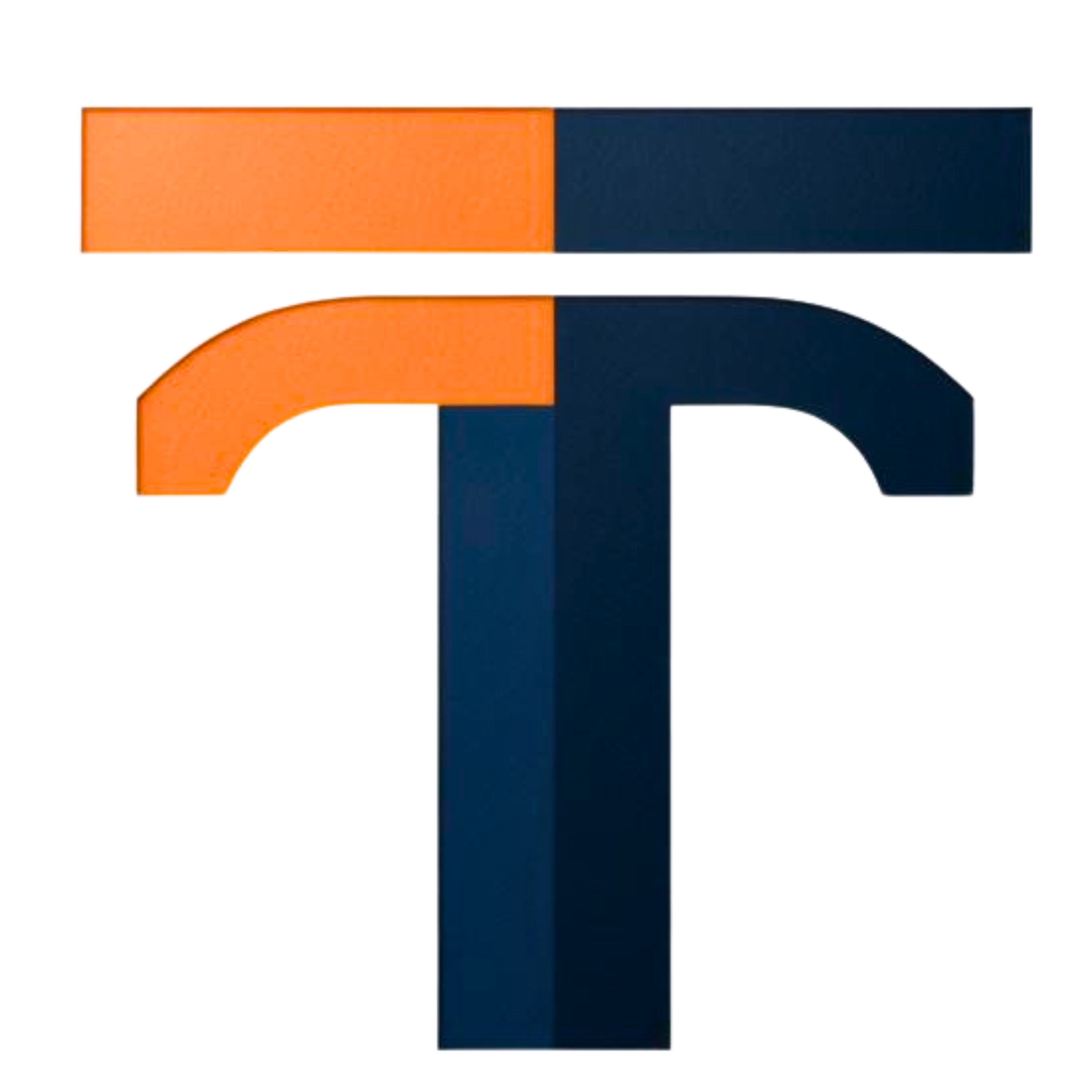 seo danışmanı tolunay togul